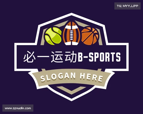 介绍必一运动b-sports